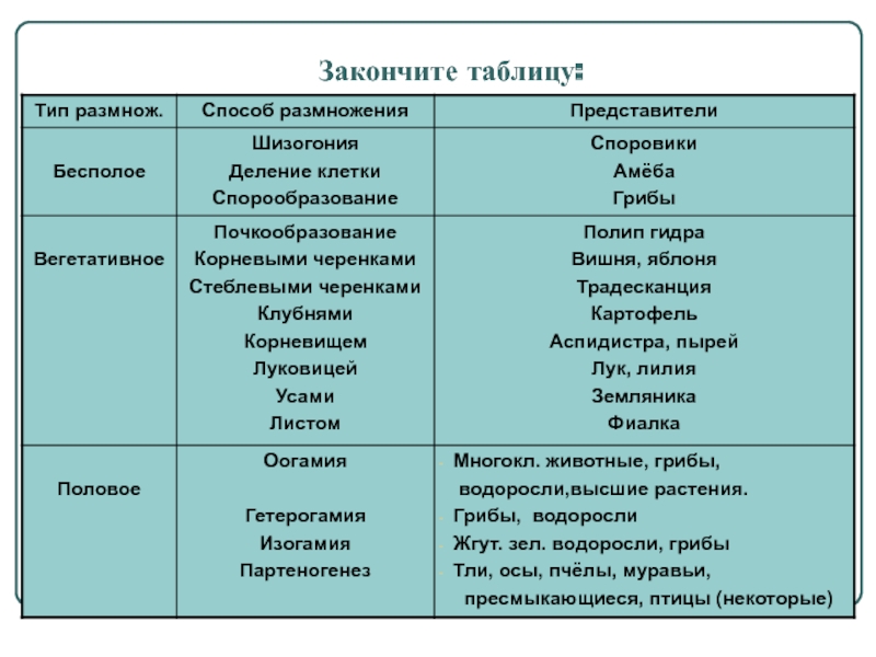 Кракен маркетплейс товары