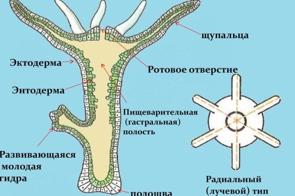 Кракен даркнет регистрация
