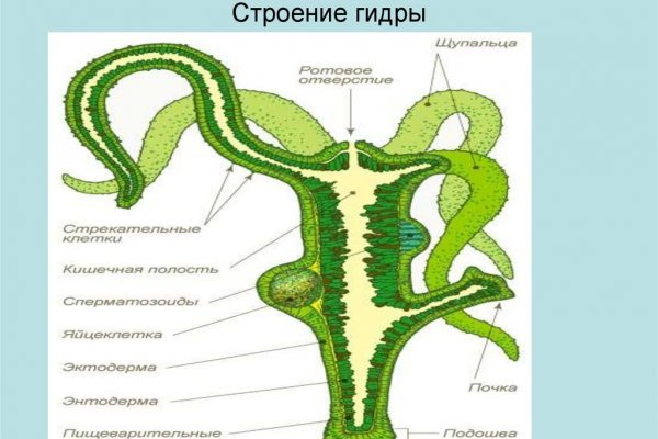 Кракен маркетплейс товары