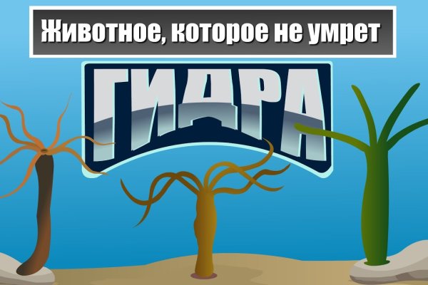 Кракен 12at сайт