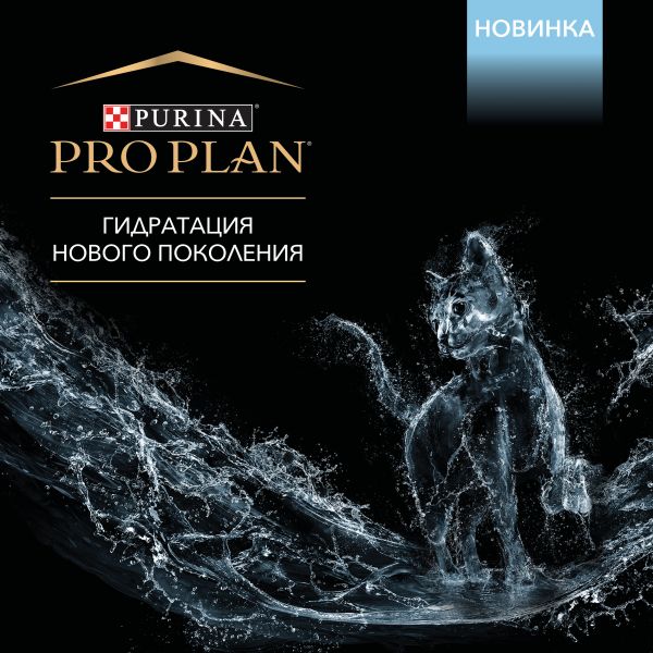 Рабочее зеркало кракен